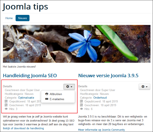 Joomla frontend blogweergave details